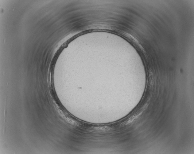 X0000060801125200512082143