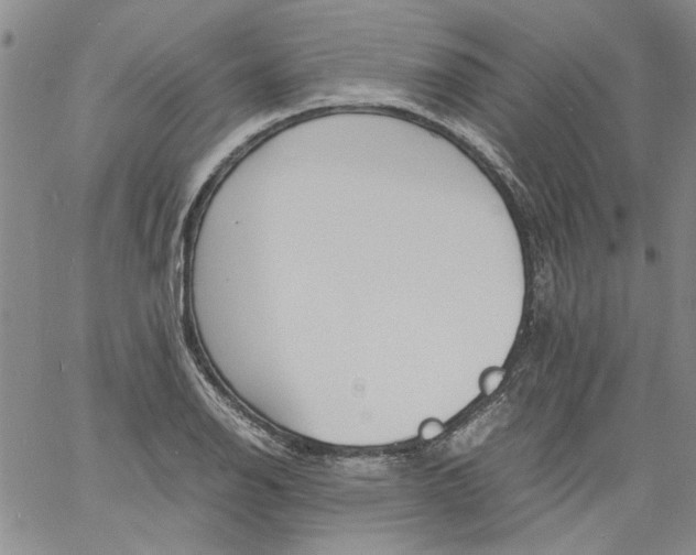 X0000060801126200512082143