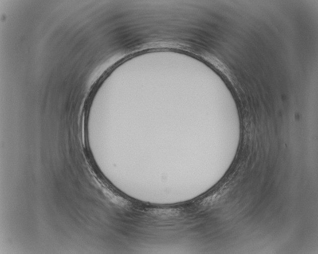 X0000060801127200512082143