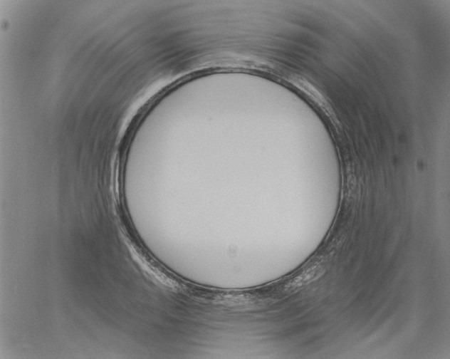 X0000060801128200512082143