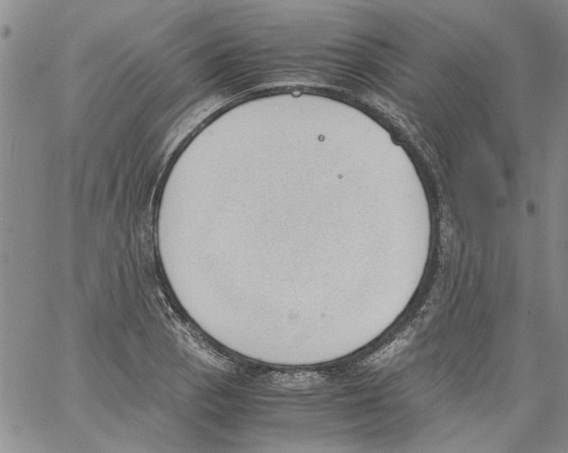 X0000060801129200512082143