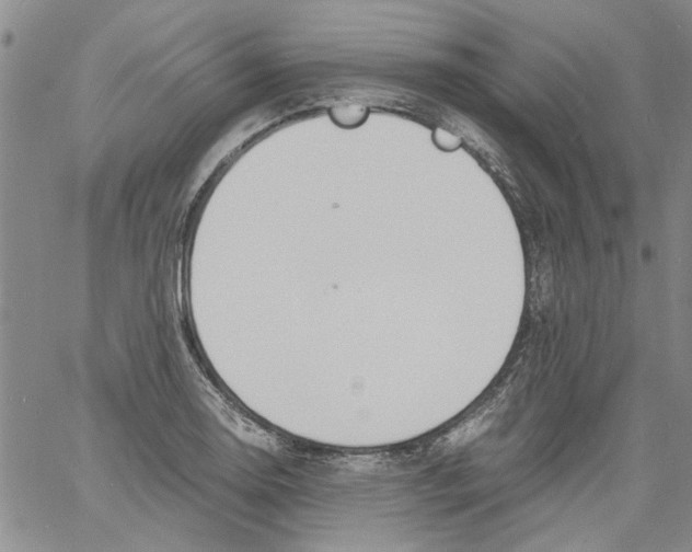 X0000060801130200512082143