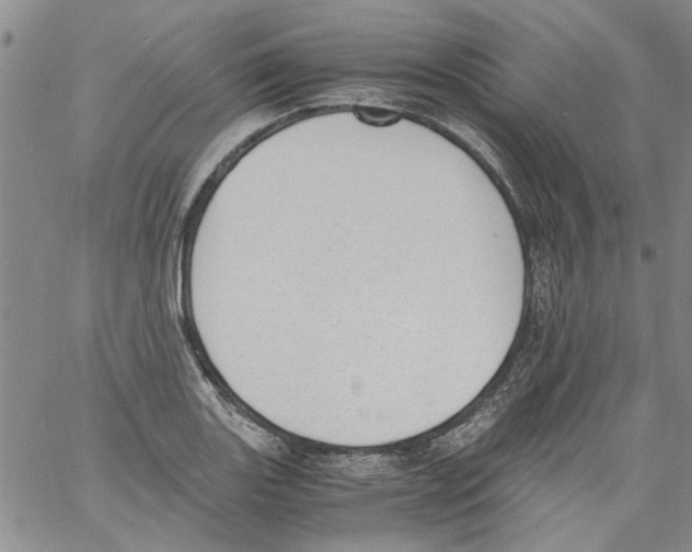 X0000060801131200512082143