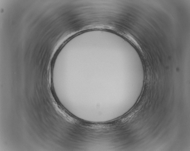 X0000060801132200512082143