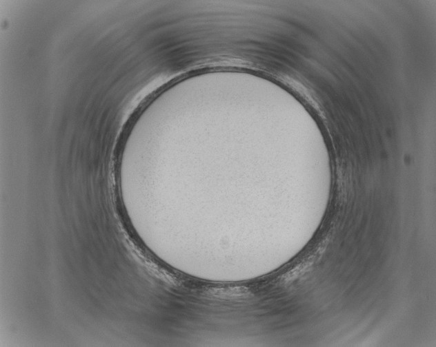 X0000060801133200512082143