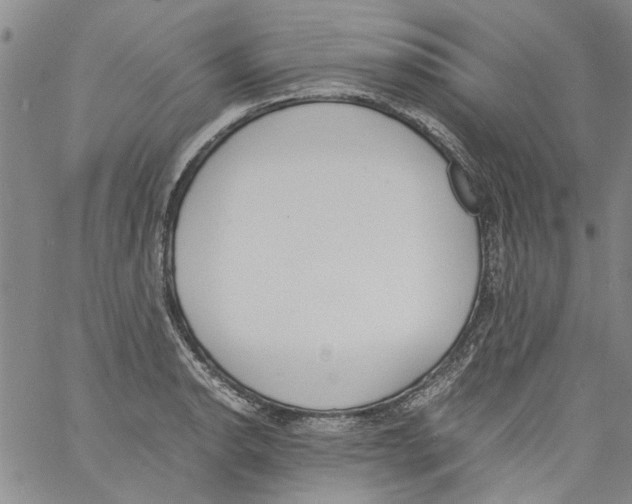 X0000060801134200512082143