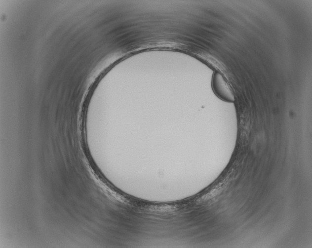 X0000060801135200512082143