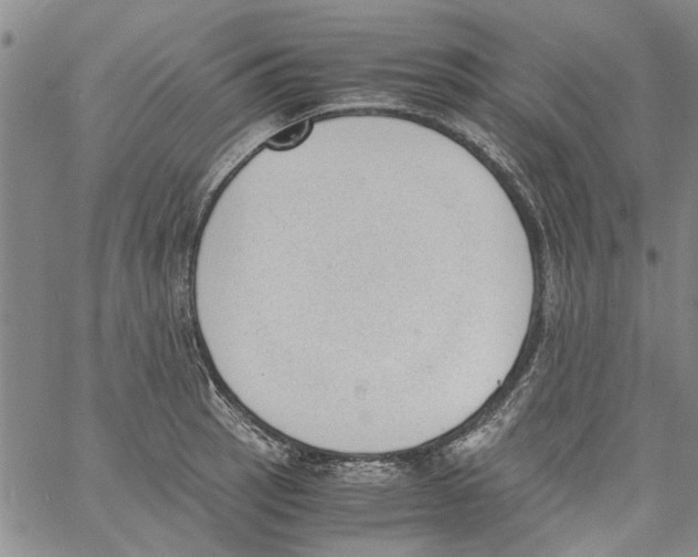 X0000060801137200512082143