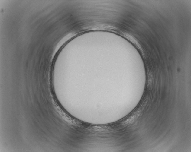 X0000060801138200512082143