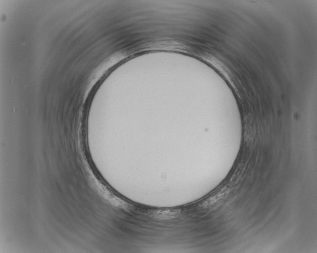 X0000060801139200512082143