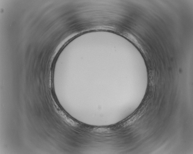 X0000060801140200512082143