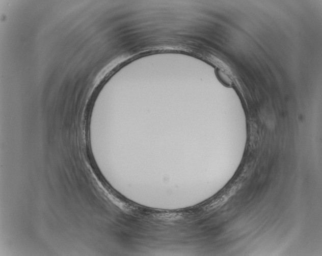 X0000060801141200512082143