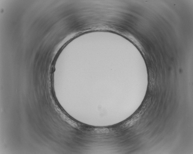 X0000060801142200512082143