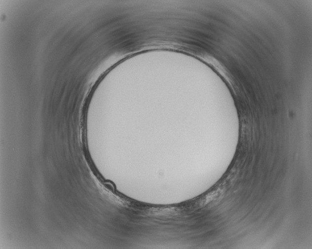 X0000060801143200512082143