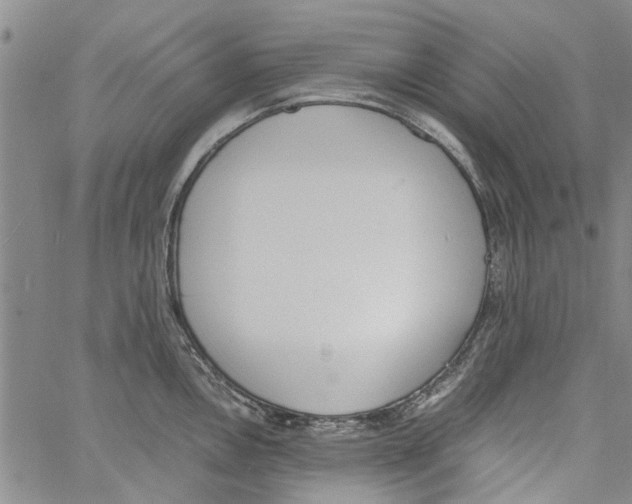 X0000060801146200512082143