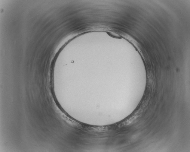 X0000060801147200512082143