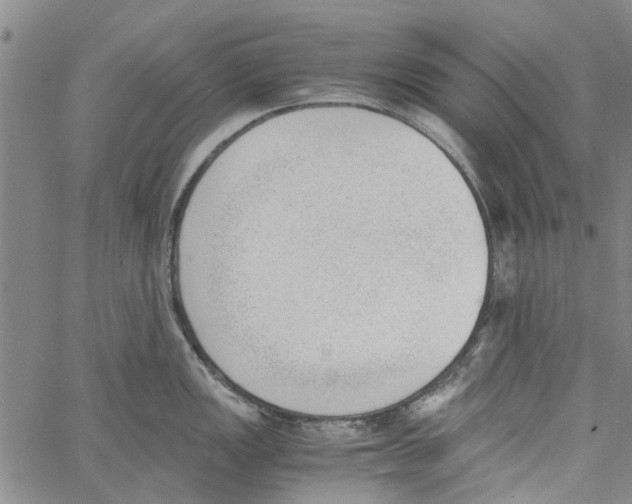 X0000060801149200512082143