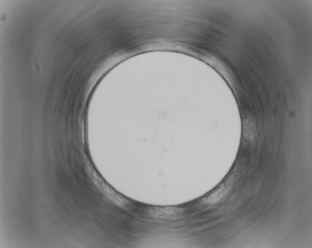 X0000060801150200512082143