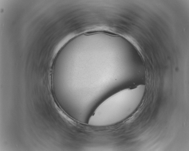 X0000060801151200512082143