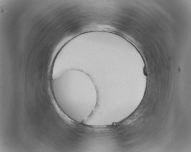 X0000060801152200512082143