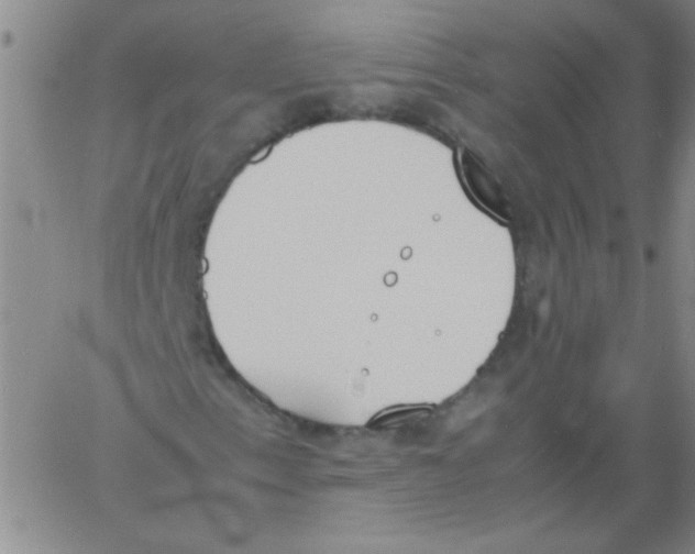 X0000060801153200512082143