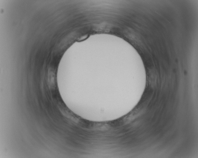 X0000060801154200512082143