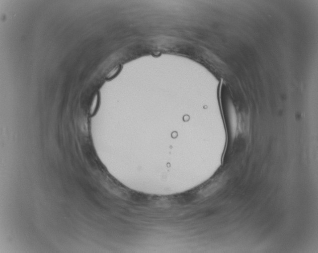 X0000060801155200512082143