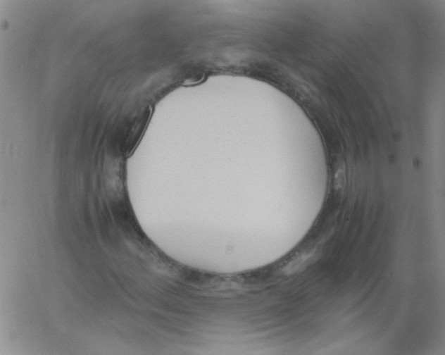 X0000060801156200512082143