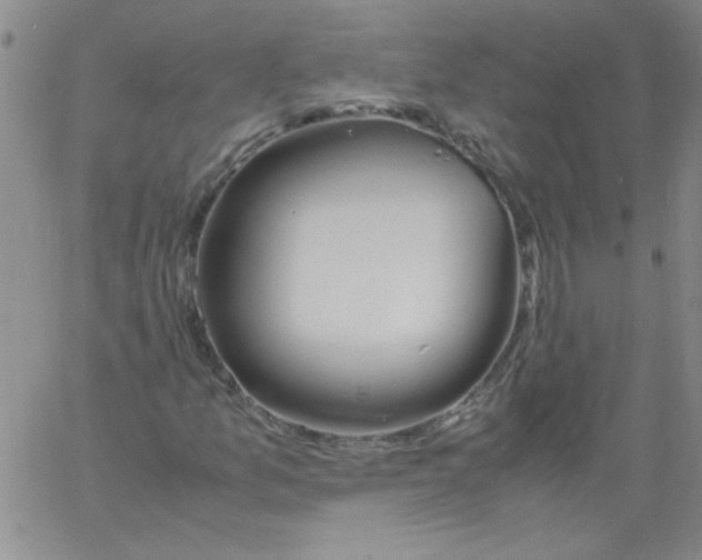 X0000060801157200512082143