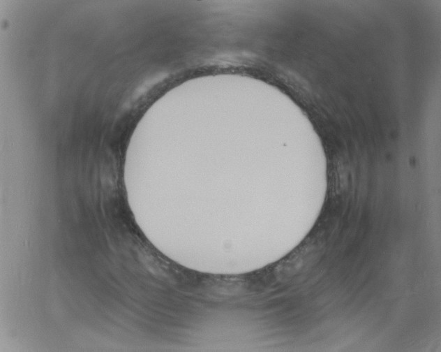 X0000060801158200512082143