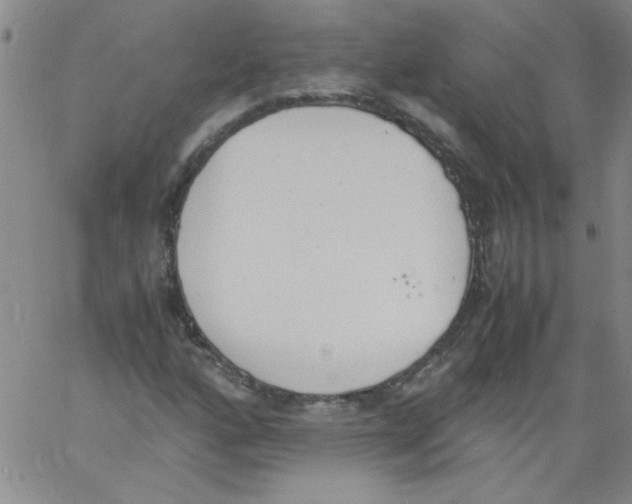 X0000060801160200512082142