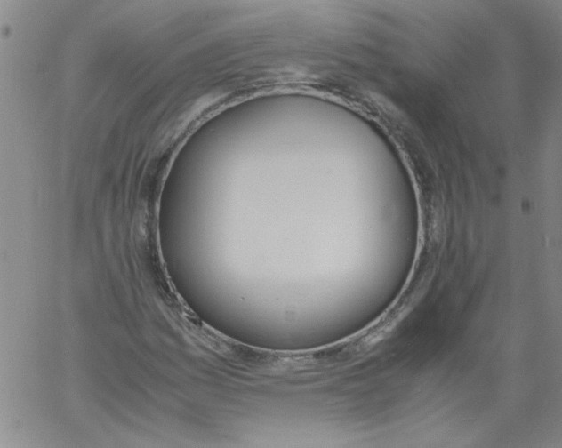 X0000060801161200512082142