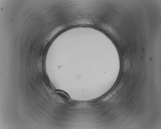 X0000060801162200512082142