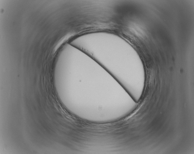 X0000060801163200512082142