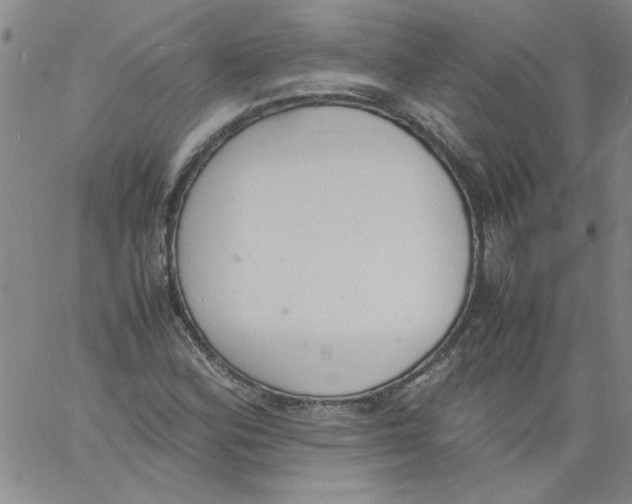 X0000060801164200512082142