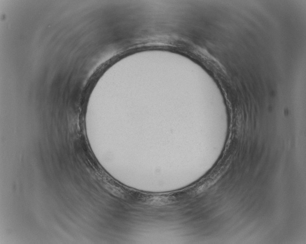 X0000060801166200512082142