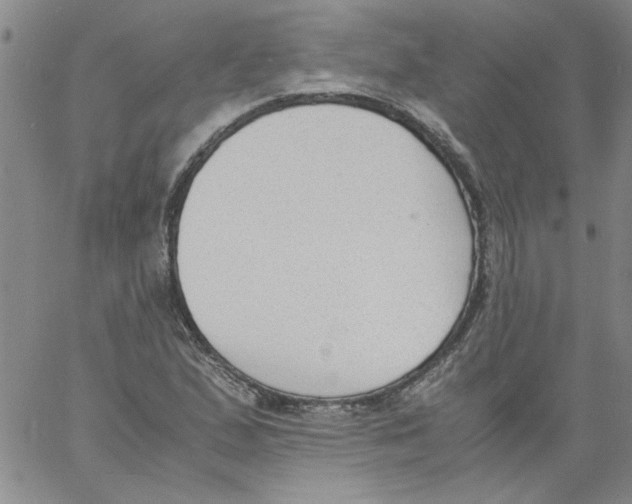 X0000060801167200512082142