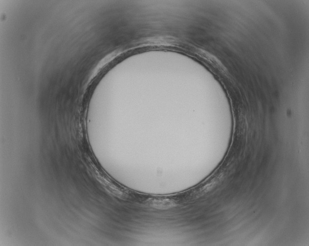 X0000060801168200512082142