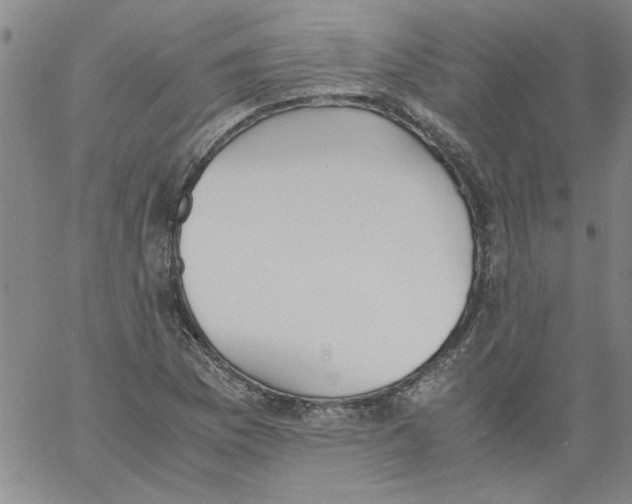 X0000060801169200512082142