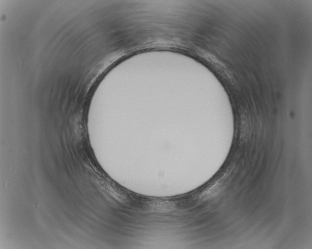 X0000060801170200512082142