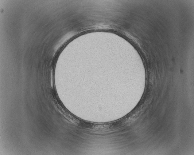 X0000060801171200512082142