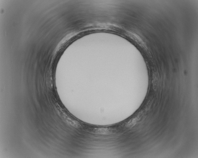 X0000060801172200512082142