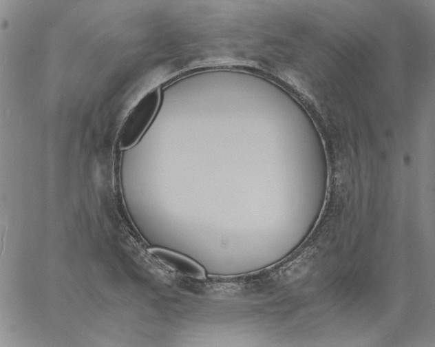 X0000060801173200512082142