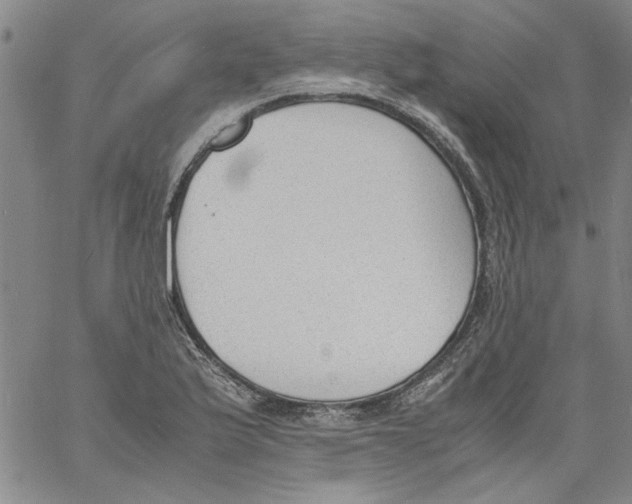 X0000060801175200512082142