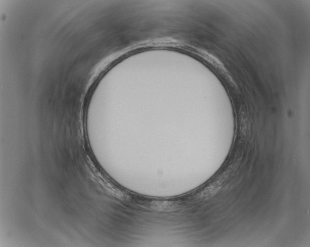 X0000060801176200512082142