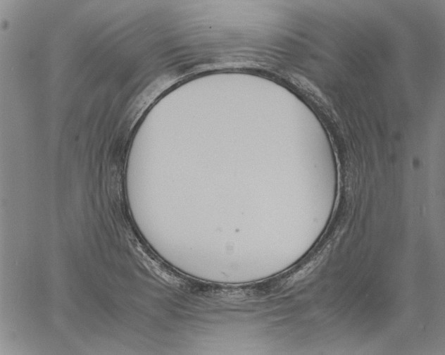 X0000060801177200512082142