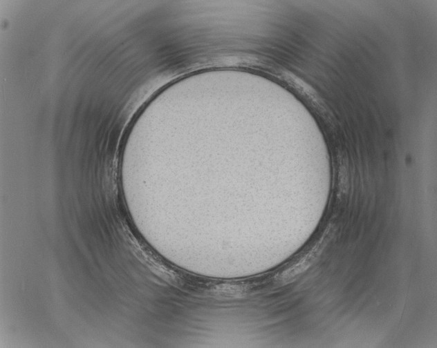 X0000060801178200512082142