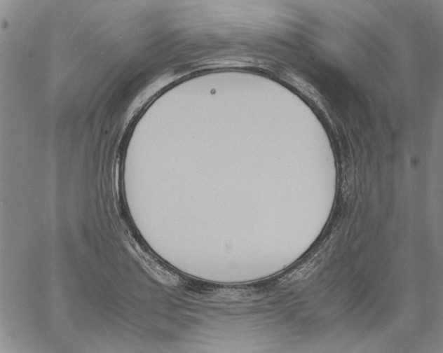 X0000060801179200512082142