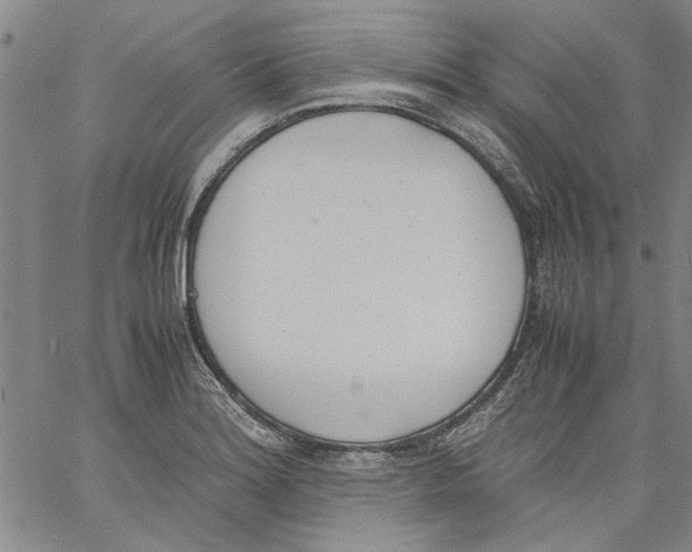 X0000060801180200512082142