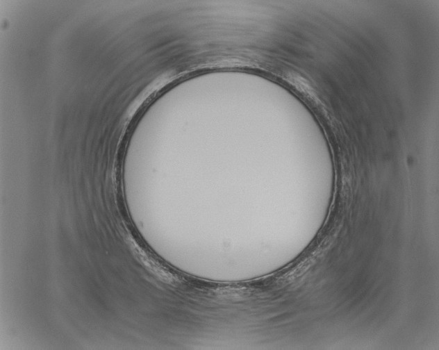 X0000060801181200512082142